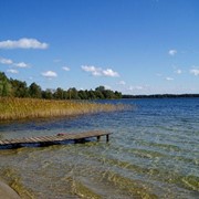 Удаление водорослей, камыша фото