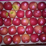 Яблоки, Франция фото