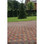 Кирпич узкий - цвет на сером цементе 6см 3900049 фото