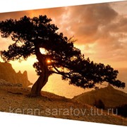 Картина на холсте 25х35 Н962 фото