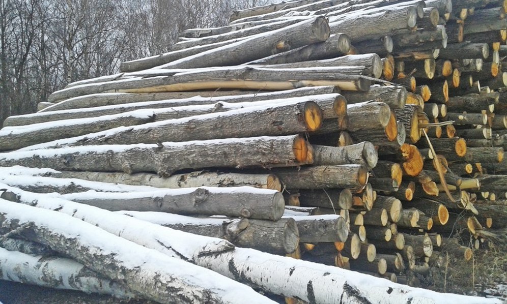 таблица вычисления кубатуры круглого леса 6 метров. 100 кубов леса кругляка. кубатурник круглого леса 4. таблица расчёта кубатуры круглого леса 6 метров. кубатурник круглого леса 2.