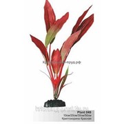 Шёлковые растения 50 см : Шёлковое растение Plant 049-КРИПТОКОРИНА красная в БЛИСТЕРЕ, 50см фотография