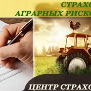 Страхование аграрных рисков фото