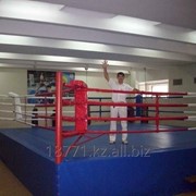 Ринг боксёрский фото