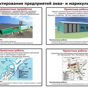 Проектирование предприятий аква- и марикультуры фото