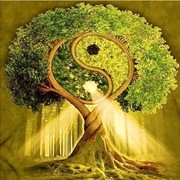 Гармонизация Мужского и Женского начала. Трансформационный авторский тренинг фото