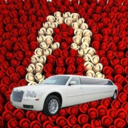 Лимузин от хозяина - экономия на посредниках! фото