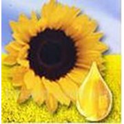 Масложировые продукты фото