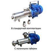 Насос пищевой винтовой из нержавейки Бурун СХ 3,6/4-0,75/2 (МБС, 380В) фото