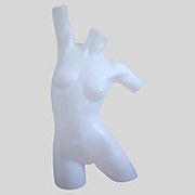 Торс “Спорт“ цвет белый Т-511(бел) фото