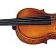 Скрипка Strunal 193W 4/4