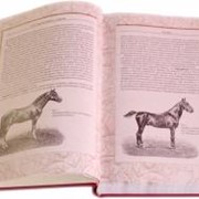 Сувенирная книга “Книга о Лошади“ фотография