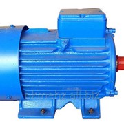 Трехфазный асинхронный электродвигатель с короткозамкнутым ротором общепромышленного назначения АМУ112-280