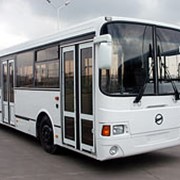Автобус ЛиАЗ - 5256 (городской) фотография