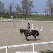 Уроки верховой езды фото