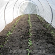 Агроволокно Premium-agro 30г/м2 3,2х50м фото