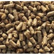 Добавки кормовые для животноводства фото