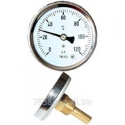 Термометр ТБ- 80- 50 0+120-1,5-О ТУ У 33.2-14307481-033:2005 фотография