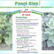 Средство для лечения растений от грибковых заболеваний и бактерий Fungi-Stop фото