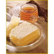 Покупка-продажа мёда, экспорт в РФ и страны Европы фотография