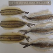 Рыба-игла (сарган) сушеная фото