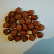 Фундук очищенный в вакуумной упаковке фото