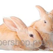 Подушка Рыжие кролики 10812 фотография