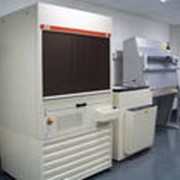 Высококачественная цветная офсетная печать на печатных машинах Rapida (модели 72, 105, 130)