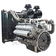Двигатель TSS Diesel TDS 555 12VTE фото