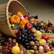 Оптовые поставки фруктов и овощей