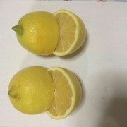 Лимоны, сорт Интердонато, Турция,  75 - 88мм, -  фото