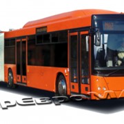 Автобус МАЗ-215069 фото