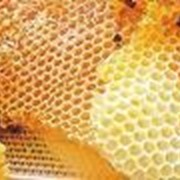 Воск пчелиный фотография