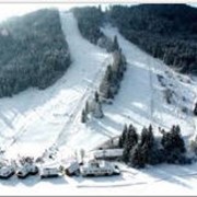 Отдых и оздоровление на климатических курортах фото
