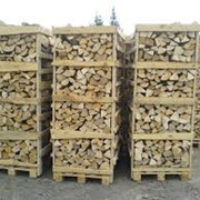 Firewood of beech фото