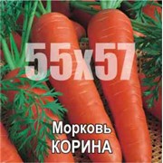 Семена моркови Корина Чехия (“Мораво- Сидс“) среднепоздний сорт переходного типа фото