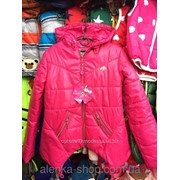 Детская куртка ветровка на девочку 34-38-42 розовая, код товара 261361620 фотография
