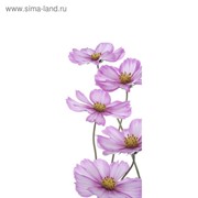 Фотообои “Сиреневые цветы“ С-056 (1 полотно), 95x220 см фотография