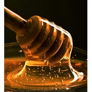 Мед из разнотравья. Мед, продукты пчеловодства, мед майский, мед цветочный, мед акация, мед липа, мед гречка. Прополис. Пчелиная пыльца. Маточное молоко. Пчелиный яд. Подмор (тело пчелы).