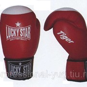 Перчатки боксерские Lucky Star Tiger кожа фото