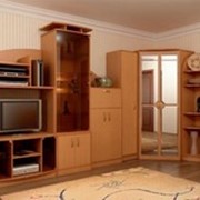 Модульная мебель для гостиной Реал-Люкс