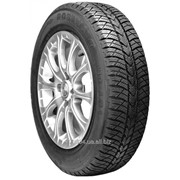 155/70R13 75T WQ-101 Rosava фотография