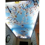 Декоративные потолки с тематикой весны фото