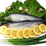 Рыба с/с Сельдь фото