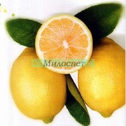 Кислота лимонная