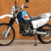 Мотоцикл эндуро Yamaha TT 250R Raid фото