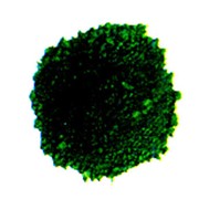 Пигменты Высокодисперсный NUBICROM 02 Зеленый Оксид Хрома