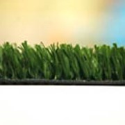 Искусственная трава с низким ворсом GREENIE PE2023 фото