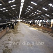 Коровники ,строительство Проект составлен и реализован фирмой«Brunnthaller» фото