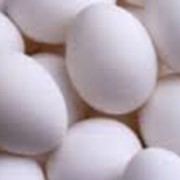 Яйцо товарное (категория первая - С1) 5,5 - 6,0 грн/10 шт фото